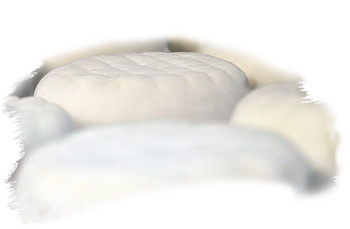 camembert