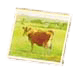 The Golden Moo - icon